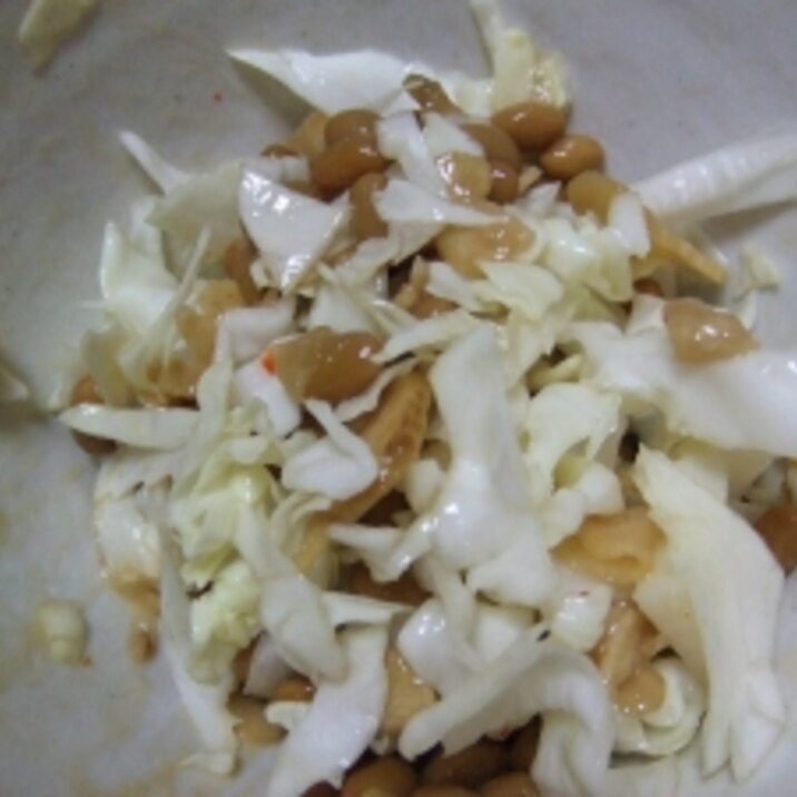 納豆とキャベツの簡単サラダ